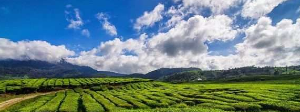Paket Padang - Bukittinggi - Payakumbuh - Alahan Panjang - Paket Trip Sumbar CV. SUMATERAAZZAM